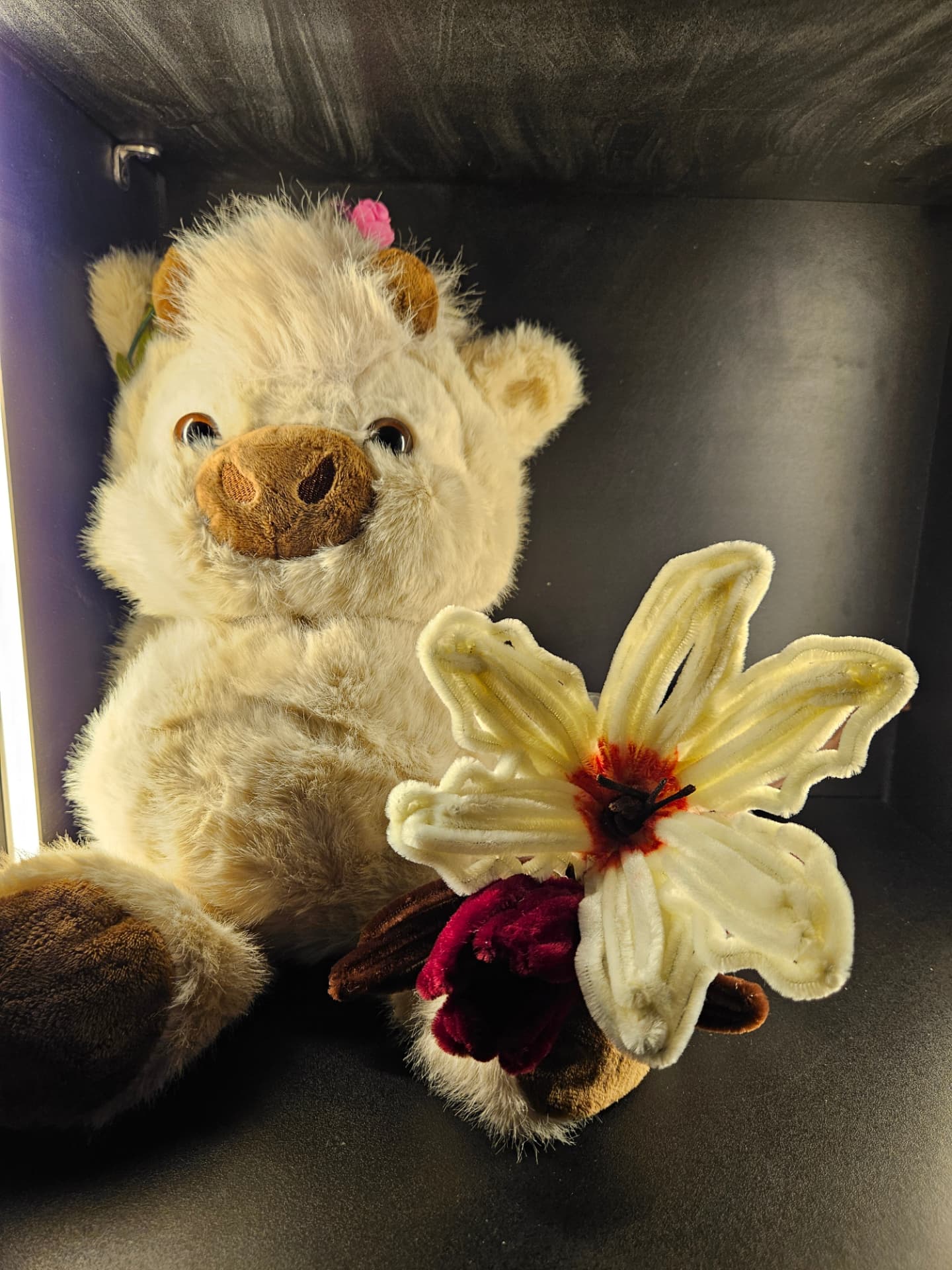 close view of a plush teddy bear holding handmade cream and burgundy flowers